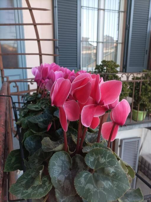 Pane E Tulipani, Cozy Apartment Near City Center Турин Екстер'єр фото